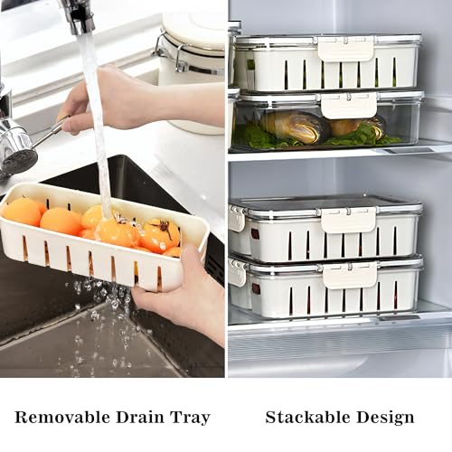 Divided Snackle Box with Lids Stackable Food Serving Tray for Fruit&Veggie Plastic Fridge Storage Container for Pantry Freezer Clear Snack Box for Meal Prep Candy Nuts Spice - size: 1Pack with 4 dividers