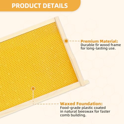 10 Pack Beehive Frames and Wax Foundations for Deep Brood Bee Hives with Honeycombs Wooden Bee Hive Frames and Beeswax Coated Foundations, 9-1/8-Inch (Yellow) - size: 10 Pack Deep Frames-Yellow