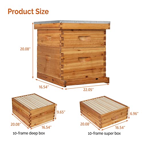 VINGLI 10 Frame Langstroth Beehive Starter Kit, Beeswax Coated 2 Layer Complete Bee Hive, 1 Deep Brood Box & 1 Medium Super Box with Frames and Waxed Foundations for Beekeepers - style: 2 Layer