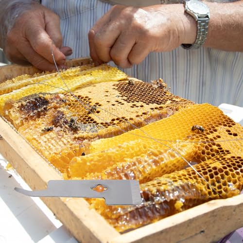 Stainless Metal Beehive Scraper and Beekeeping Lifter Tool for Hive Maintenance, Curved Durable Hive Frame Scraping Equipment for Beekeepers