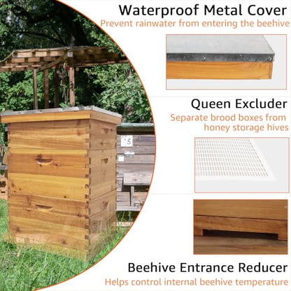 10 Frame Langstroth Beehive Kit - Beeswax Coated 3-Layer Bee Hive (2 Deep Brood + 1 Medium Super) Professional Wood Box, Frames NOT Included