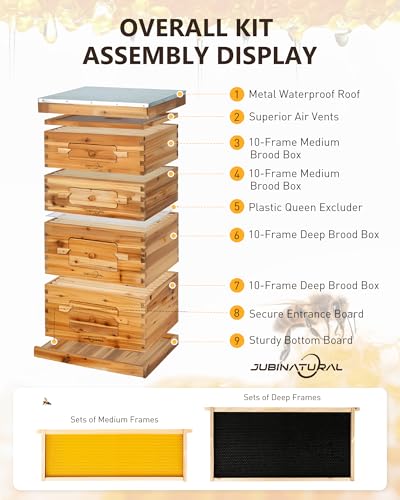 Bee Hive Starter Kit 10 Frame Langstroth Beehive 2 Deep 2 Medium Boxes | 10-Frame Langstroth Hive with 2 Deep Brood Boxes, 2 Medium Honey Supers, 40 Pine Frames and an Observation Window - size: 2Deep+2Madium Bee Box