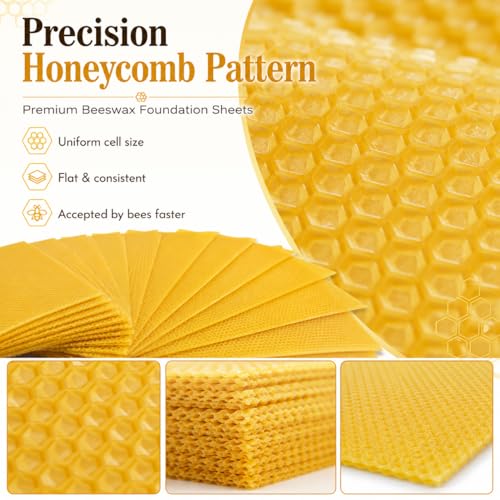 Bee Hive Foundation Sheets - 30 Pcs Pure Beeswax Comb Foundation 7.68 x 16.34 Inch, Beekeeping Supplies for Langstroth Hive Frames, Increases Honey Production & Colony Development