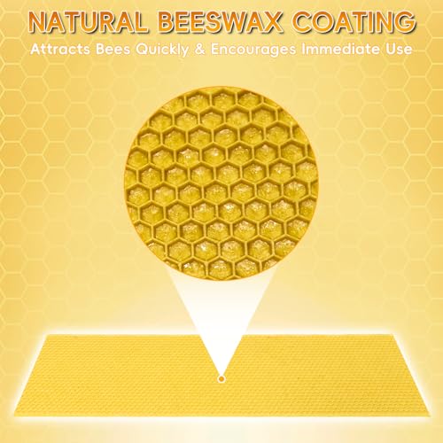 10PCS Food-Grade Plastic Bee Frame Medium Foundation Sheets, Natural Beeswax Coated Bee Hive Foundation for Medium Super Frames (Yellow) - color: Yellow, size: 10PCS