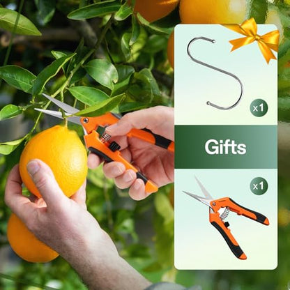 VIVOSUN 2-Pack 4-Layer Mesh Drying Rack Hanging Design with Green Zippers for Dehydrating, Indoor and Outdoor (Pruning Shears Included) - size: 4 Layer, style: 2 Pack