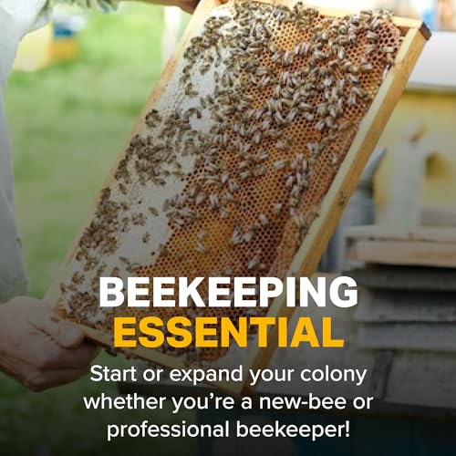 Mann Lake Premium Beekeeping Frames, Fully Assembled, Deep Rite-Cell Hive Frames, Beeswax Coating, Universal Fit, BPA & BPS Free, 9 1/8 Inches, Yellow, 20-Pack - style: Yellow Assembled Frames