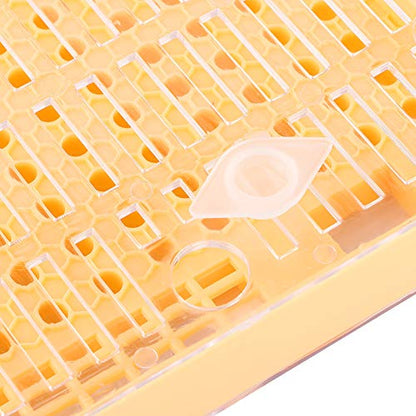 Queen Rearing System Kit | 110 Plastic Cell Cups Grafting - Innovative Design | Queen Cage & Breeding Box for Beekeeping/Apiary Management | Reusable Tools