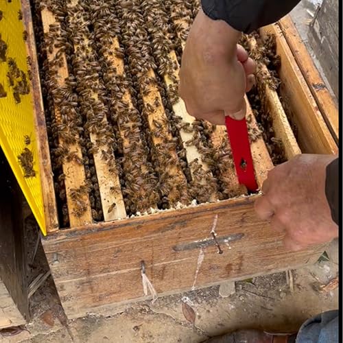 Stainless Steel Beehive J-Hook -, 4 Packs Multi-Purpose Beehive Elevator and Scraper, Can Pry The Beehive and Scrape Propolis, Professional Beekeeping Tool.