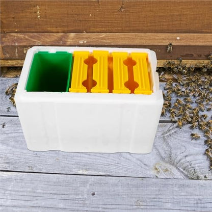 Plastic Bee Feeder 4 Frames White Mini Breeding Box Durable Compact for Garden Beekeeping Equipment Kit Hive Tool