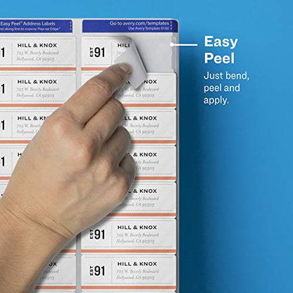 Avery Printable Address Labels with Sure Feed, 1" x 2-5/8", Matte Clear, 300 Blank Mailing Labels (18660) (Pack of 2) - size: One Size (Pack of 2)
