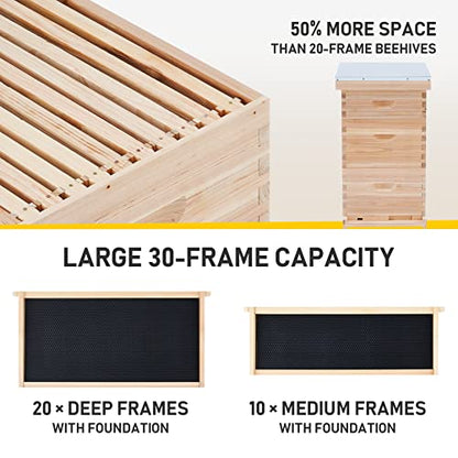 CREWORKS Bee Hive Boxes 10 Frame Langstroth Beehive, 2 Layers Complete Bee Hive Kit, 1 Super Bee Box & 1 Bee Brood Box with Beehive Frames 10 Frame Queen Excluders, and Foundation