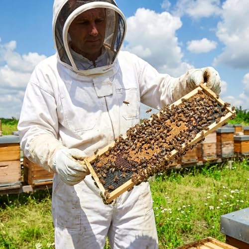 Medium Super Beehive Frames and Wax Foundations, Honey Bee Frames with 100% Beeswax Coated Foundation Sheets, Bee Hive Frame and Foundation 10 Pack