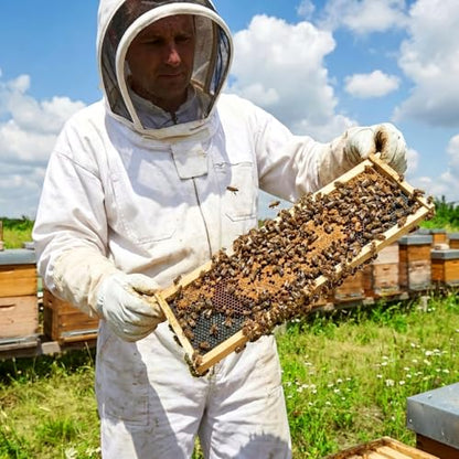 Medium Super Beehive Frames and Wax Foundations, Honey Bee Frames with 100% Beeswax Coated Foundation Sheets, Bee Hive Frame and Foundation 10 Pack