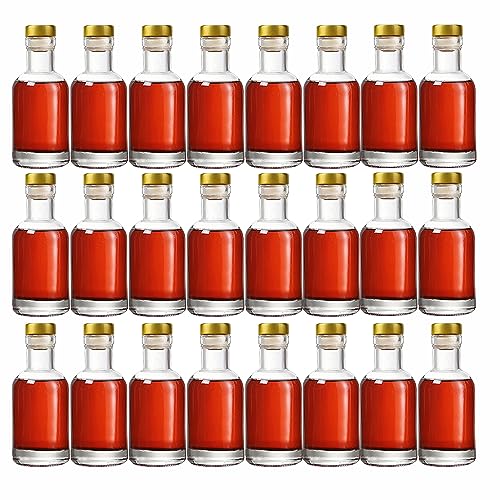Clear Glass Bottles 3 oz - 100ml [Pack of 24] for Wine Beverages Drinks Oil Vinegar Kombucha Beer Water Soda with Cork Stopper Airtight Lid - color: Clear-3oz-24pack