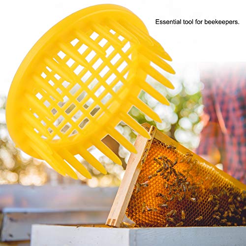 Pilipane 6 Pcs Queen Bee Rearing Box, Plastic Queen Rearing System Beekeeping Grafting Kit Tool Cell Cups Beehive Entrance Gate for Isolation Quee