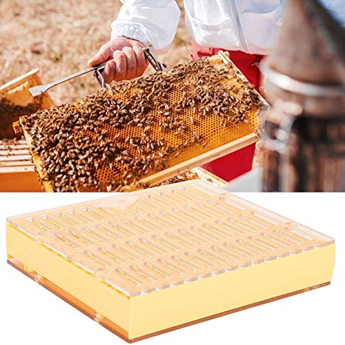 Queen Bee Incubator, Plastic Bee Grafting Less Larva Moving Breeding Box, Beekeeper Tool for Raising Queen Cells with Cups