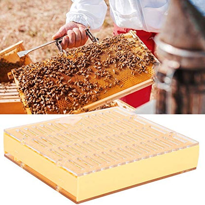 Queen Bee Incubator, Plastic Bee Grafting Less Larva Moving Breeding Box, Beekeeper Tool for Raising Queen Cells with Cups