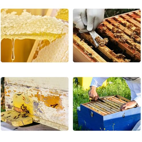 Stainless Steel Bee Scraper Beekeeper Honey Knife Beekeeping Equipment Apiculture Uncapping Swards Hive Tools