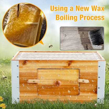 Bee Hive Boxes Starter Kit,3 Layer Metal Frame Bee House with 10 Medium and 20 Deep Frames & Foundations,Langstroth Honey Bee Hive with Metal Stand
