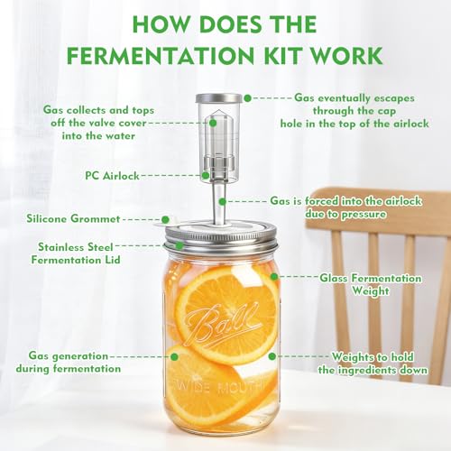 Fermentation Lids for Wide Mouth Mason Jars, 6 Set Fermentation Kit with Date Tracker, Stainless Steel Fermenting Lids with Airlocks, Silicone Rings & Grommets (Jars Not Included)