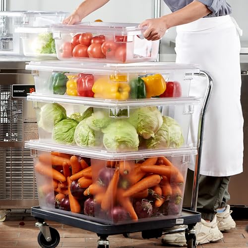 CURTA 1 Pack Food Storage Box with Lid, Commercial Grade Polycarbonate Food Storage Containers for Fruits/Vegetables/Grains in Bar/Restaurant/Hotel/Home 16.5 Gal - 26" x 18" x 12"[ NSF,Certified ] - color: 1*26" x 18" x 12"