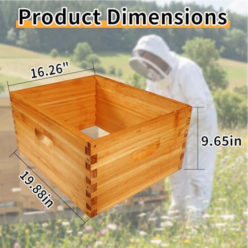 2 Pack Beehive Deep Brood Box 10 Frame Langstroth Deep Brood Bee Hive Box Beekeeping Supplies - size: 2 Pack Beehive Deep Brood Box