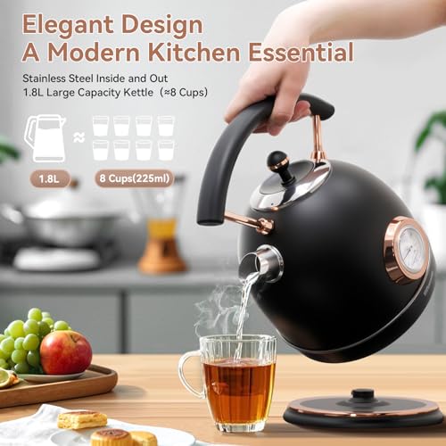Rasonic Retro Electric Kettle Stainless Steel, 1.8L Tea Water Boiler, 1500W Fast Quiet Boil, Temperature Gauge, Auto Shut-Off, Boil-Dry Protection, Matt Black and Rose Gold - color: Black