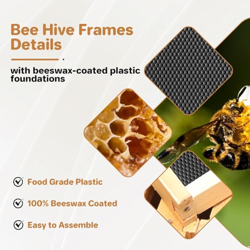 10 Frame Bee Hive Box, Wax Coated Honey Super Bee Hive Kit with Acrylic Window and Frames Foundations Sheets for Beginners Beekeepers, Deep Box - size: Deep Box with Window