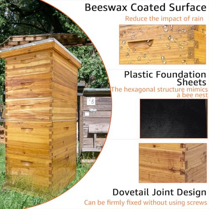 5-Layer Langstroth Beehive Kit: 2 Deep 3 Medium Supers, Wax Coated | Weatherproof 100% Beeswax Timber, Telescoping Metal Top, No Frames Included