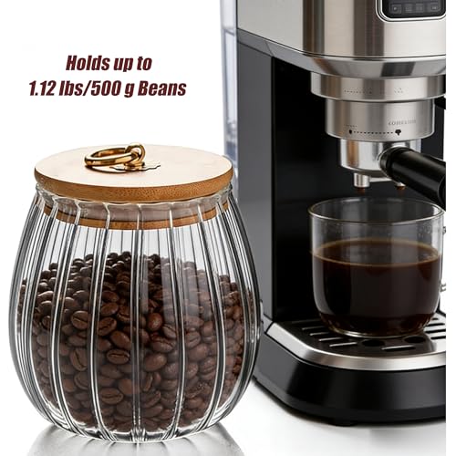 FANTESTICRYAN Glass Coffee Nuts Canister Airtight Storage Jar Petal Decorative Container with Bamboo Lid Metal Handle Easy to Grasp 1600ml, 54 FL OZ (Large Oval)