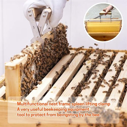 Beekeeping Frame Gripper, Frame Holder, Frame Lifter Tool - Stainless Steel Beekeeping Equipment Bee Hive Frame Grip Tool (Color : Wood) - color: Wood