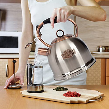 Whistling Stovetop Tea Kettle Food Grade Stainless Steel, Hot Water Fast to Boil for Stove Top-3.0Q - color: Silver-RW