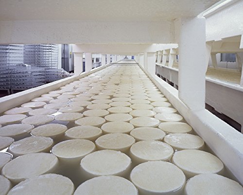 CMI Microbial Rennet Coagulant Cuajo Caglio Presüre Lab add 3ml for 10 L of milk
