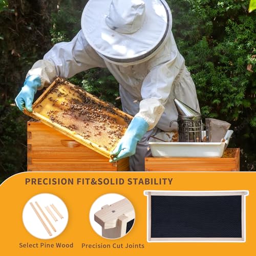 10-Frame Langstroth Bee Hive,3 Layers Beeswax Coated Beehive Kit Includes 2 Deep Brood Hive Boxes and 1 Medium Super Bee Box with Beehive Frames and Foundations - size: 3 Layers