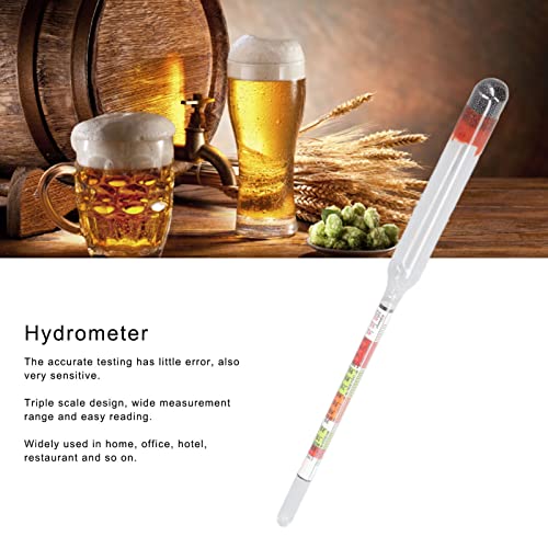 Hydrometer Wine and Beer Measuring Tool Set, Triple Scale Glass, 10Pcs for Home Brewing