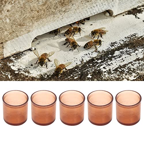 500Pcs Plastic Queen Bee Cell Cups, Queen Rea plies, Honey Bee Beekee plies Tool