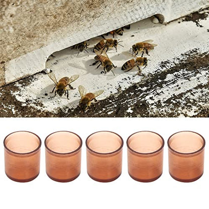 500Pcs Plastic Queen Bee Cell Cups, Queen Rea plies, Honey Bee Beekee plies Tool