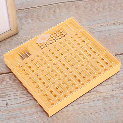Queen Bee Incubator, Plastic Bee Grafting Less Larva Moving Breeding Box, Beekeeper Tool for Raising Queen Cells with Cups
