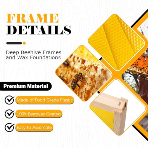 BeeCastle 20 Pack Beehive Frames and Waxed Foundations for Deep Brood Bee Hives with Wooden Bee Hive Frames and Beeswax Coated Foundations, 9-1/8-Inch (Yellow) - size: 20-Pack