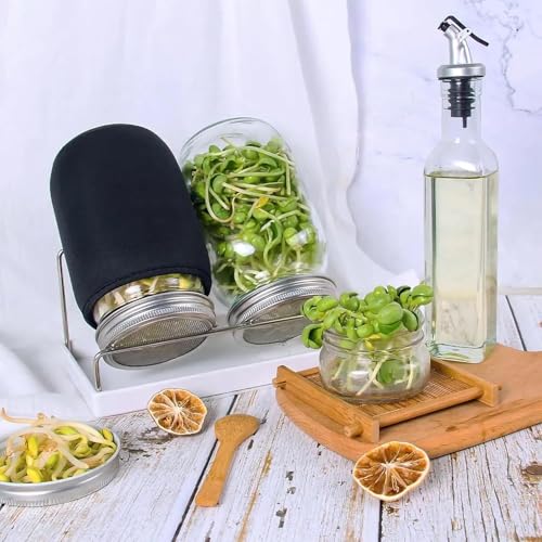 Organic Seed Sprouting Jar Kit – 2 × 32 oz Wide-Mouth Mason Jars with Stainless-Steel Sprouter Lids & Stand, Blackout Sleeves, Drain Tray – Grow Broccoli, Alfalfa & Bean Microgreens - color: Stainless Steel