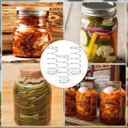 10 Set Fermenting Spring Weight and Plastic Press 4" Diameter Fermenting Jar Mesh Presser Wide Mouth Pickle Can Press Mesh for Canning Pickling Fermentation