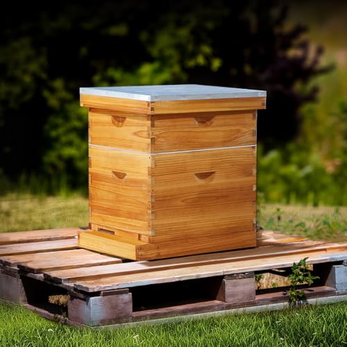 10 Frame Langstroth Beehive Kit Dipped in Heavy Beeswax Bee Hives with 1 Deep Bee Box and 1 Medium Bee Hive Box with Frame and Foundation(Unassembled) - size: 2 Layer