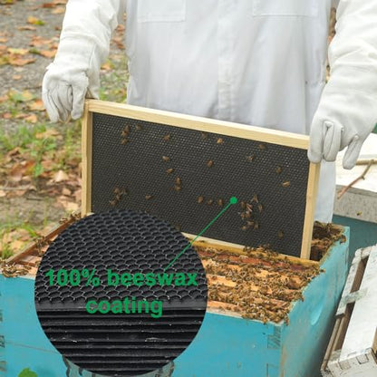 BEEXTM 9 inch BEE'S Plastic Waxed Coated Foundations 10 DEEP Hive Sheets BEE Black