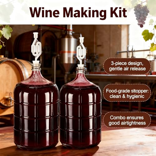 2 Set 3 Gallon Glass Carboy with 2 Airlocks for Fermenting Glass Jug 2 Drilled and 2 Undrilled Rubber Stoppers 2 Carboy Handles 2 Brushes for Beer Wine Making Equipment