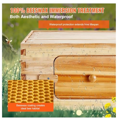Bee Hive Medium Box Kit - Cedar Wood Langstroth Beehive with 10 Frames, Beeswax Coated, Acrylic Windows - Beginner & Pro Beekeepers