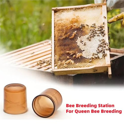 1000Pcs Plastic Queen Bee Raising Cup Brown Cells Cages Room Cups Queen Bee Raising Platform Rearing Cell Cups Beekeeping Tools Brown