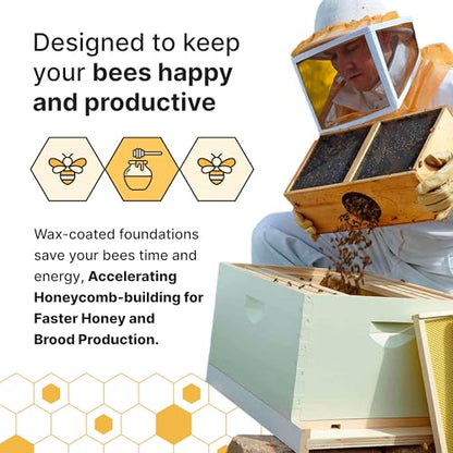 Mann Lake 10-Frame Deep Hive Kit, Fully Assembled 9⅝" Bee Hive Body with 10 Frames & Beeswax-Coated Plastic Foundation for Brood Replacement, Colony Growth & Honey Production, Made in USA, Unpainted - color: Assembled, No Paint