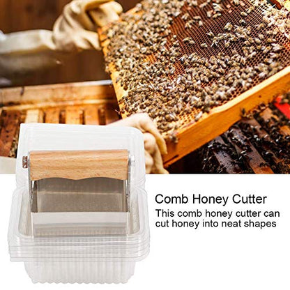 Fdit Stainless Steel Comb Honey Cutter Scraper with Plastic Box Cutting Tools Beekeeping Accessory Supplies