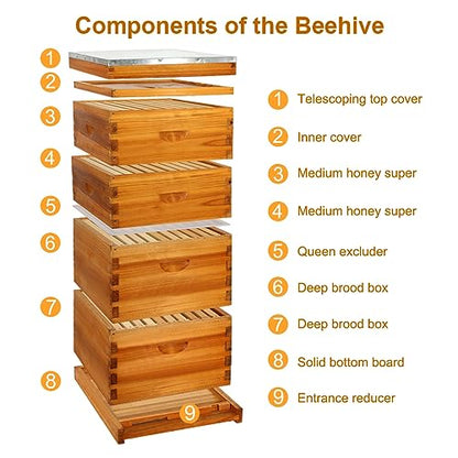 Honey Lake 10-Frame Langstroth Beehive Starter Kit, Beeswax Coated Complete Bee Hive Includes 2 Deep Brood Boxes & 2 Medium Super Bee Boxes with Beehive Frames and Foundations for Beekeepers (4 Layer) - size: 10-Frame 4-Layer