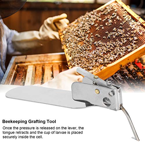 Beekeeping Grafting Tool,Single End Queen Bee Larva Grafting Needle Transferring Tool,Metal Bee Rearing Grafting Kit for Rearing Queen Bee